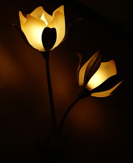 lamps, flowers, illuminated